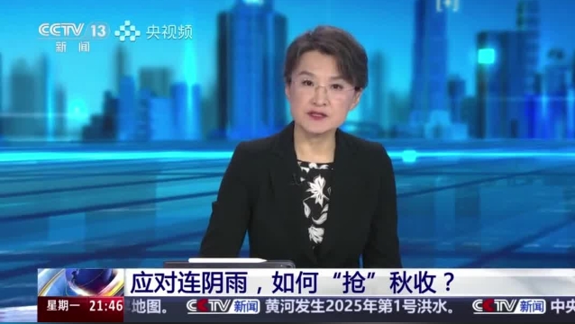【主流媒體看周口】面對連陰雨 如何“搶”秋收？
