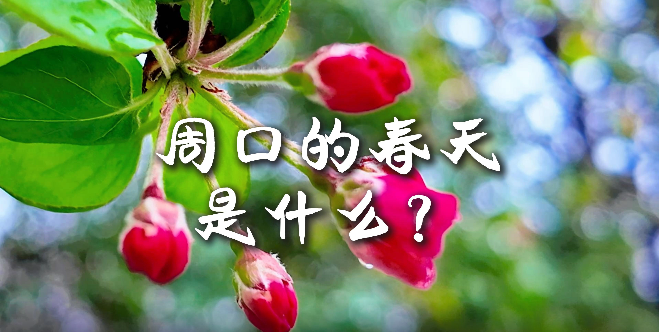 周口的春天，待你慢慢遇見