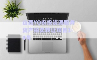 山西YQ農(nóng)投資源服務(wù)資產(chǎn)拍賣轉(zhuǎn)讓項(xiàng)目1-4號