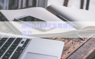 鄒城LM建設發(fā)展債權資產(chǎn)