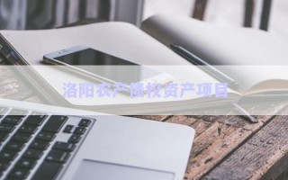 洛陽農(nóng)產(chǎn)債權資產(chǎn)項目