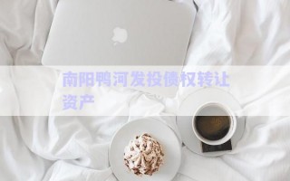 南陽鴨河發(fā)投債權轉讓資產