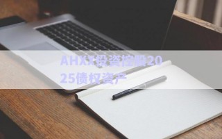AHXX投資控股2025債權資產(chǎn)