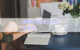 安徽XX投資2025年債權