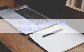 牟州數字債權資產轉讓政府債定融