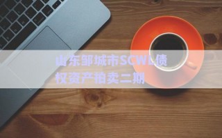 山東鄒城市SCWL債權資產拍賣二期