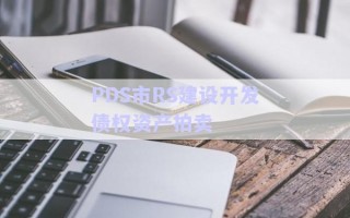 PDS市RS建設(shè)開(kāi)發(fā)債權(quán)資產(chǎn)拍賣