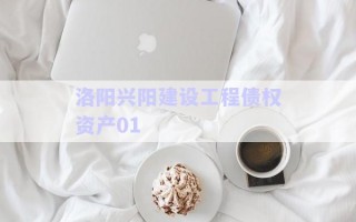 洛陽興陽建設工程債權(quán)資產(chǎn)01