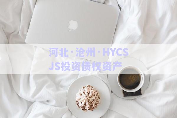 河北·滄州·HYCSJS投資債權(quán)資產(chǎn)-第1張圖片-政信固收網(wǎng)