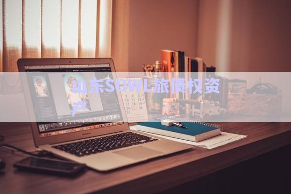 山東SDWL旅債權資產-第1張圖片-政信固收網(wǎng)