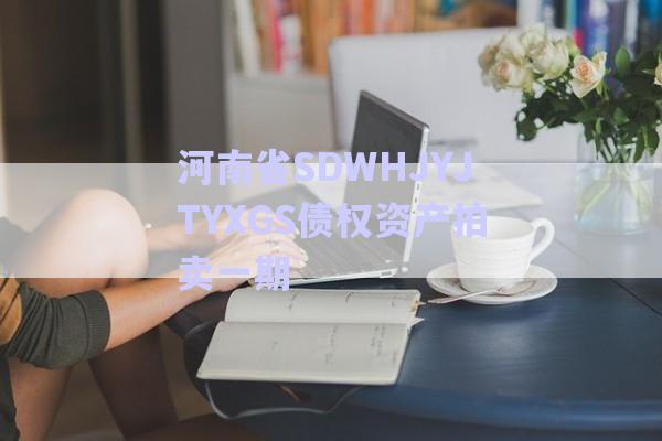 河南省SDWHJYJTYXGS債權資產拍賣一期-第1張圖片-政信固收網(wǎng)