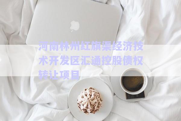 河南林州紅旗渠經濟技術開發(fā)區(qū)匯通控股債權轉讓項目-第1張圖片-政信固收網
